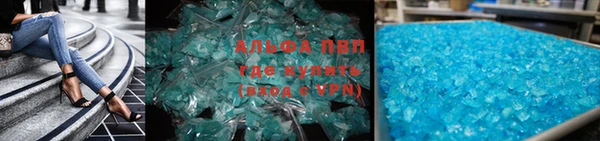 стаф Зерноград