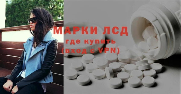 стаф Зерноград
