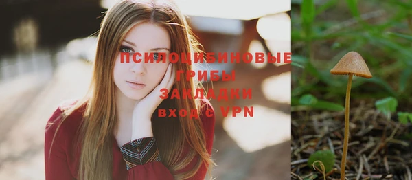 амф Зеленодольск