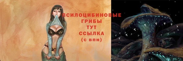 стаф Зерноград