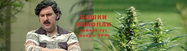 твердый Зеленокумск