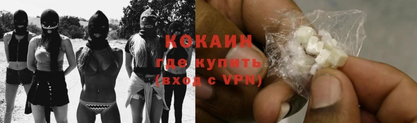 стаф Зерноград