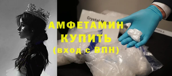 стаф Зерноград