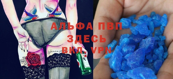 стаф Зерноград