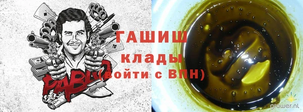 стаф Зерноград