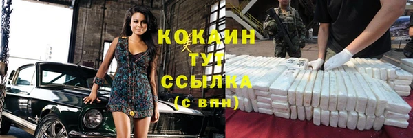 стаф Зерноград